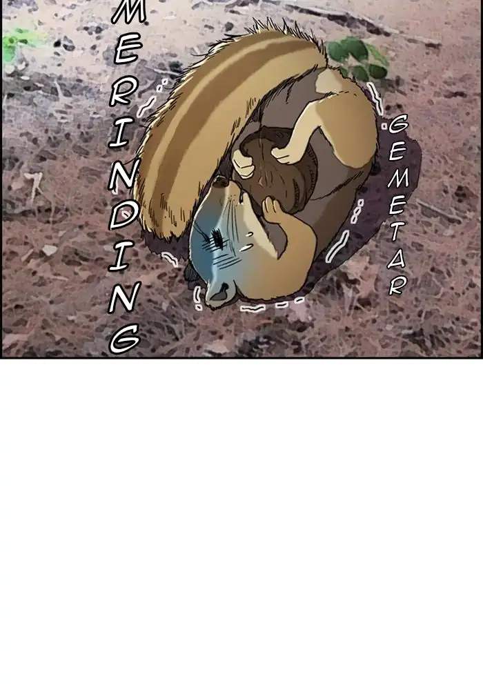 Wind Breaker Chapter 260 - halaman 36