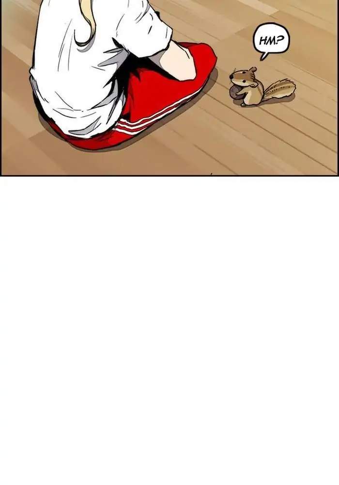 Wind Breaker Chapter 261 - halaman 43