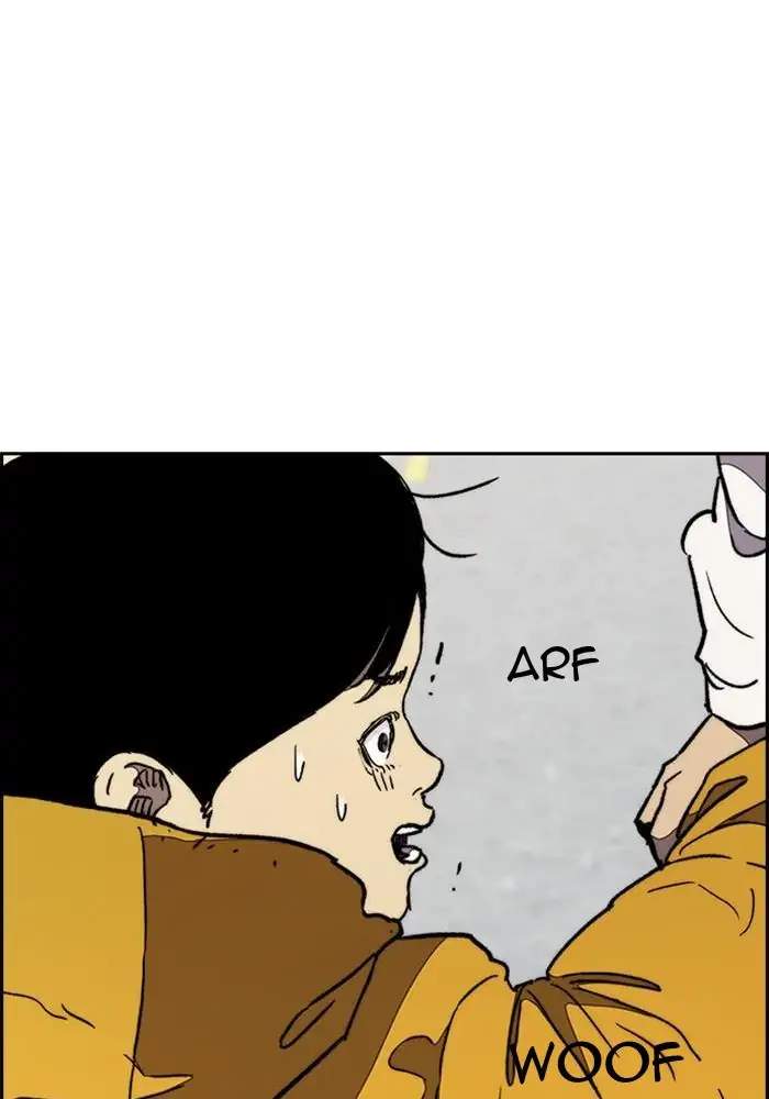 Wind Breaker Chapter 276 - halaman 81