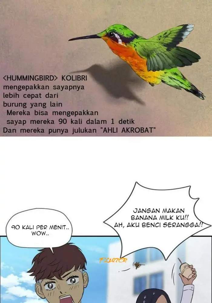 Wind Breaker Chapter 28 - halaman 49