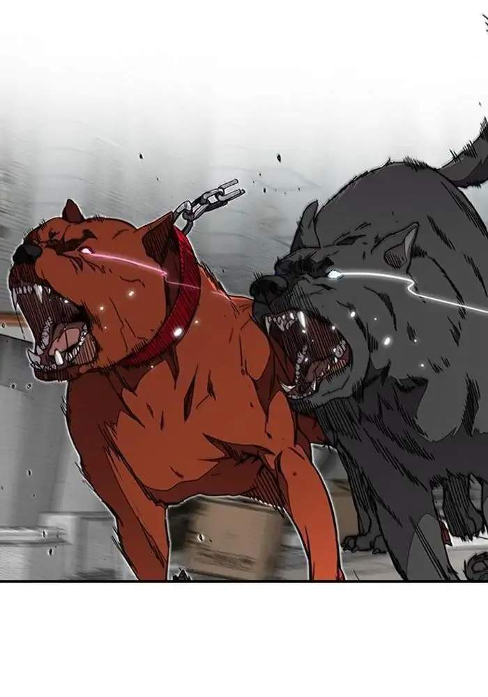 Wind Breaker Chapter 305 - halaman 107
