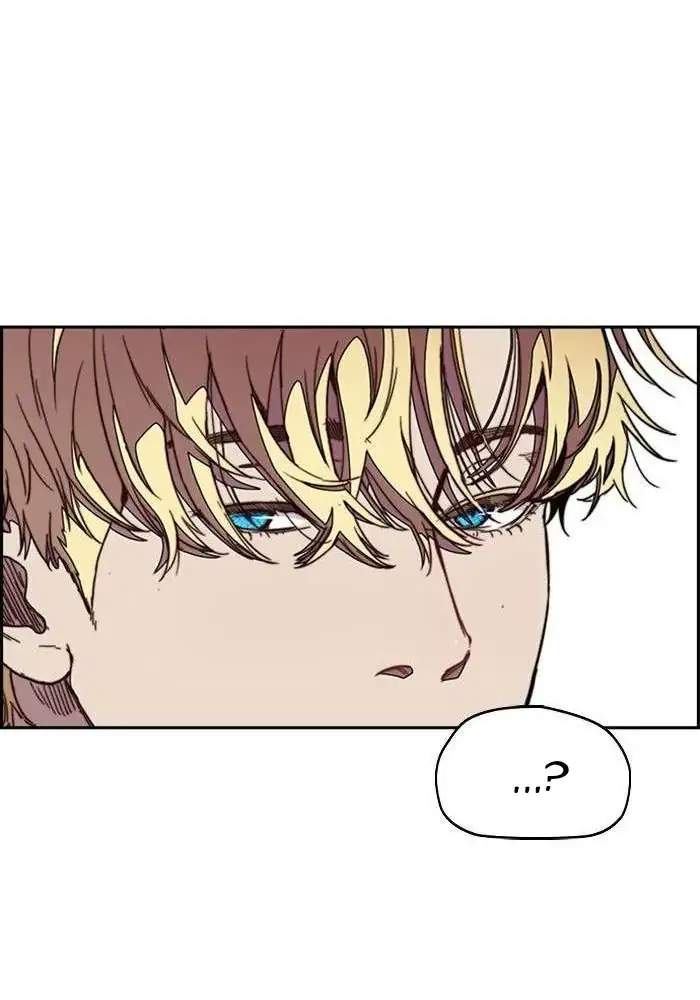 Wind Breaker Chapter 311 - halaman 113