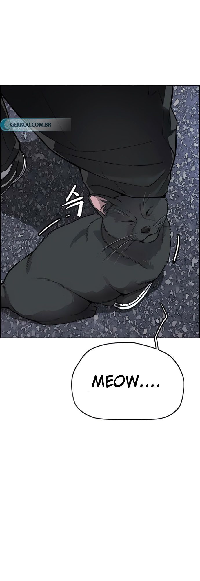 Wind Breaker Chapter 408 - halaman 53