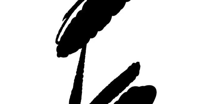 Wind Breaker Chapter 437 - halaman 448