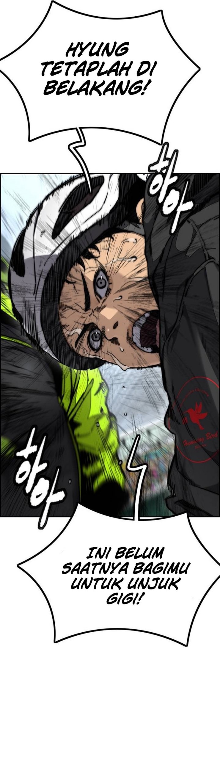 Wind Breaker Chapter 498 - halaman 51