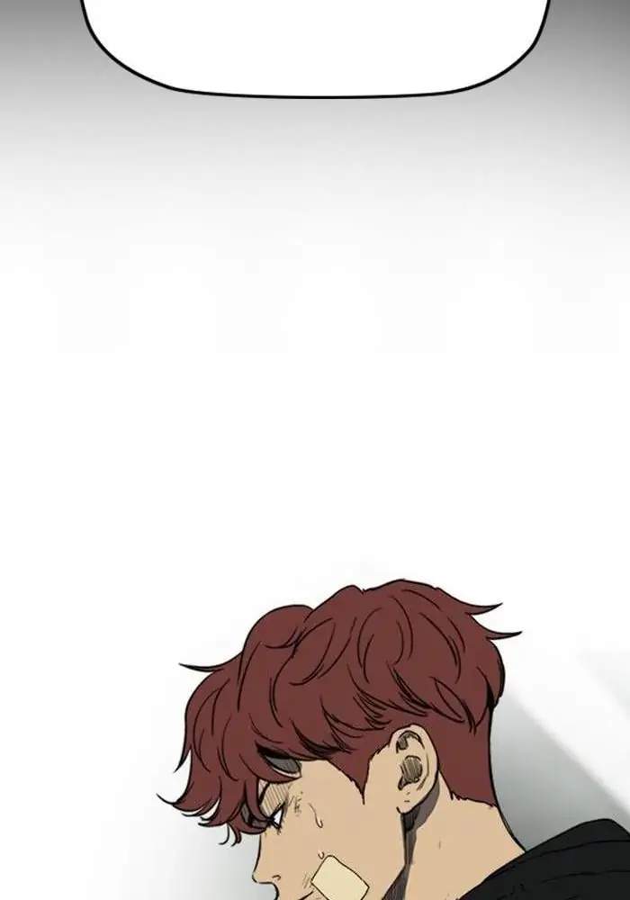 Wind Breaker Chapter 246 - halaman 49