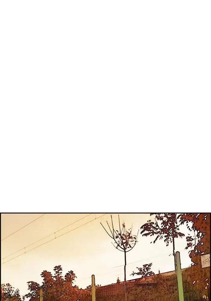 Wind Breaker Chapter 247 - halaman 91
