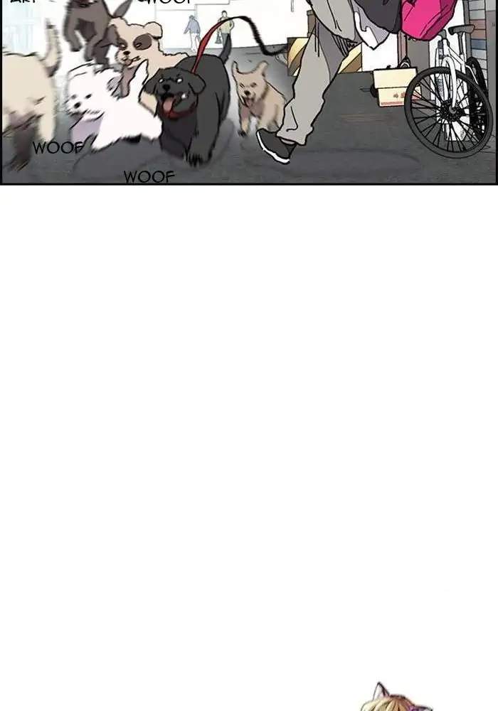 Wind Breaker Chapter 276 - halaman 104