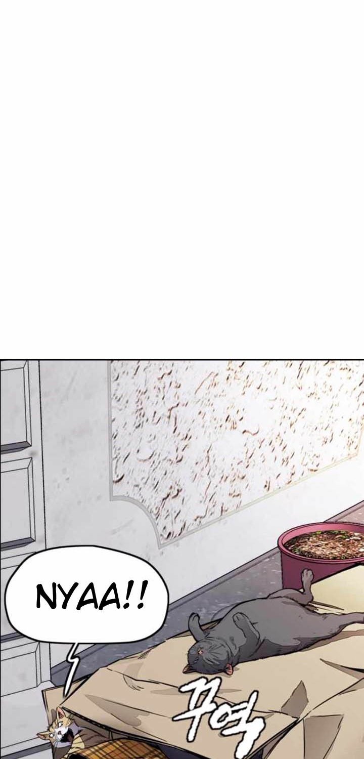Wind Breaker Chapter 382 - halaman 95