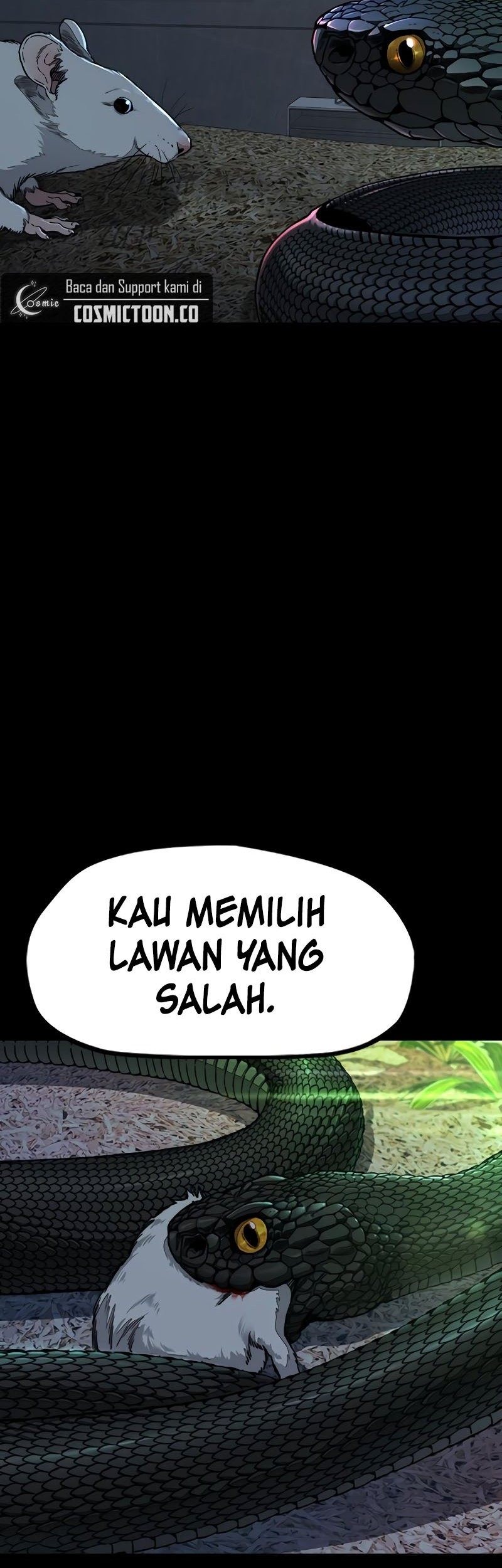 Wind Breaker Chapter 523 - halaman 93