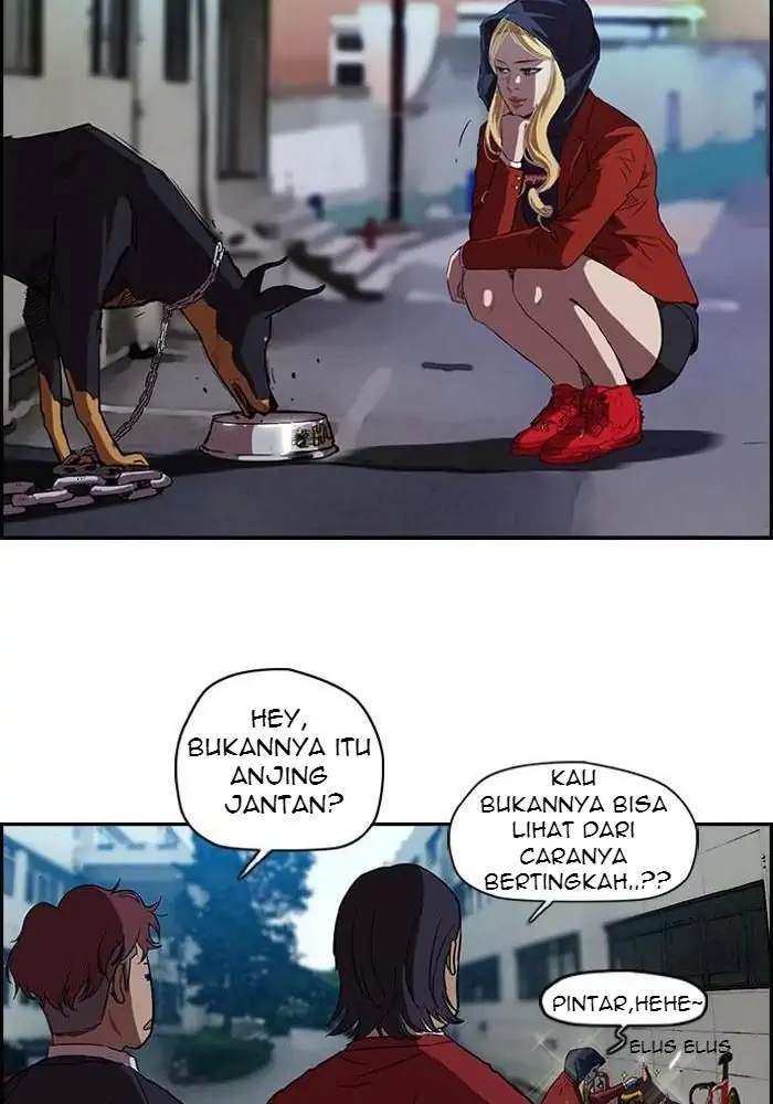 Wind Breaker Chapter 61 - halaman 24