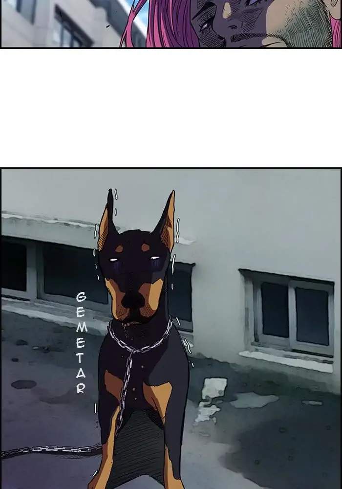 Wind Breaker Chapter 61 - halaman 37