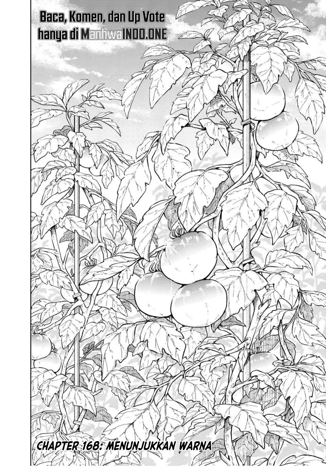 Wind Breaker (NII Satoru) Chapter 168 - halaman 4