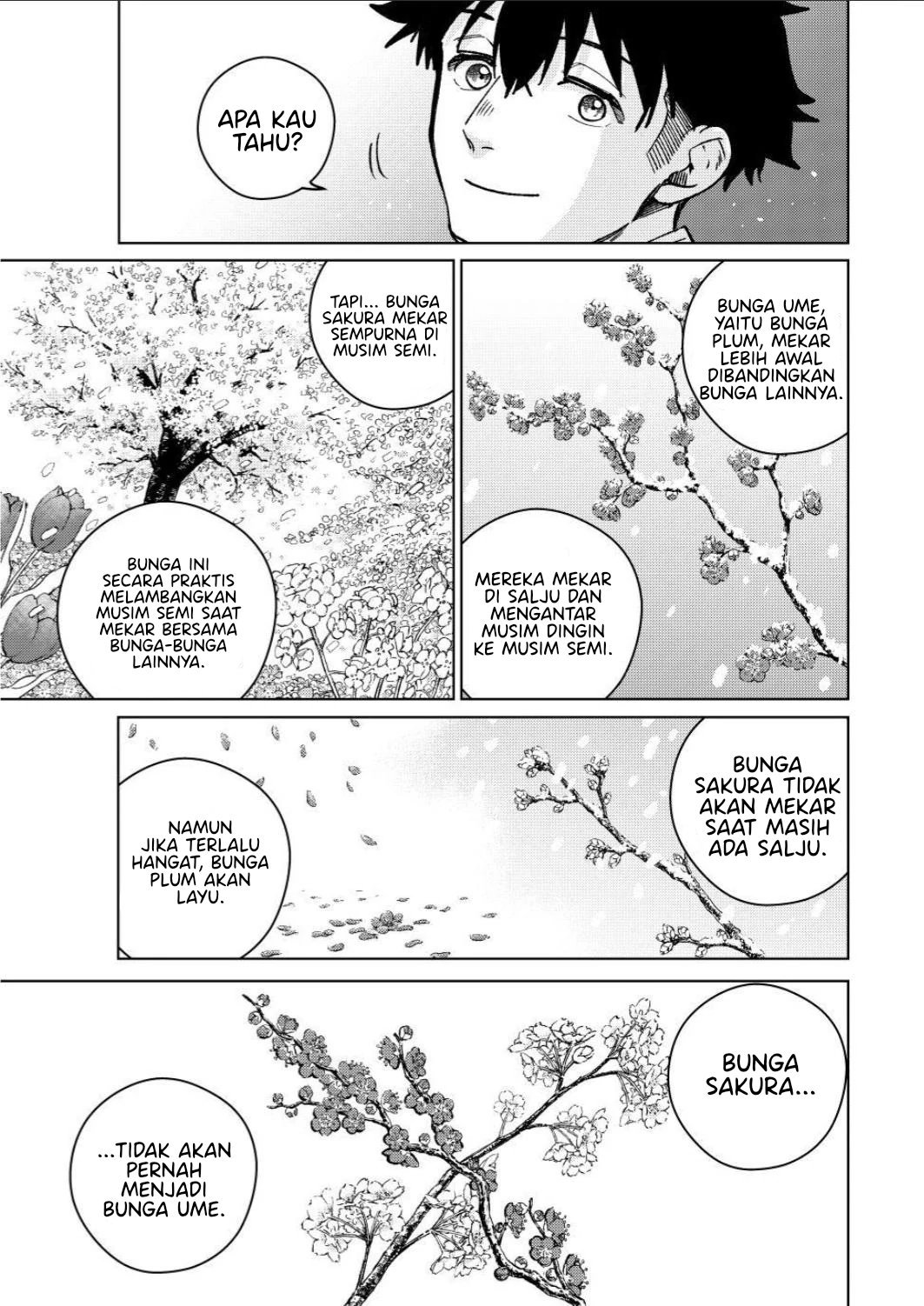 Wind Breaker (NII Satoru) Chapter 181 - halaman 14