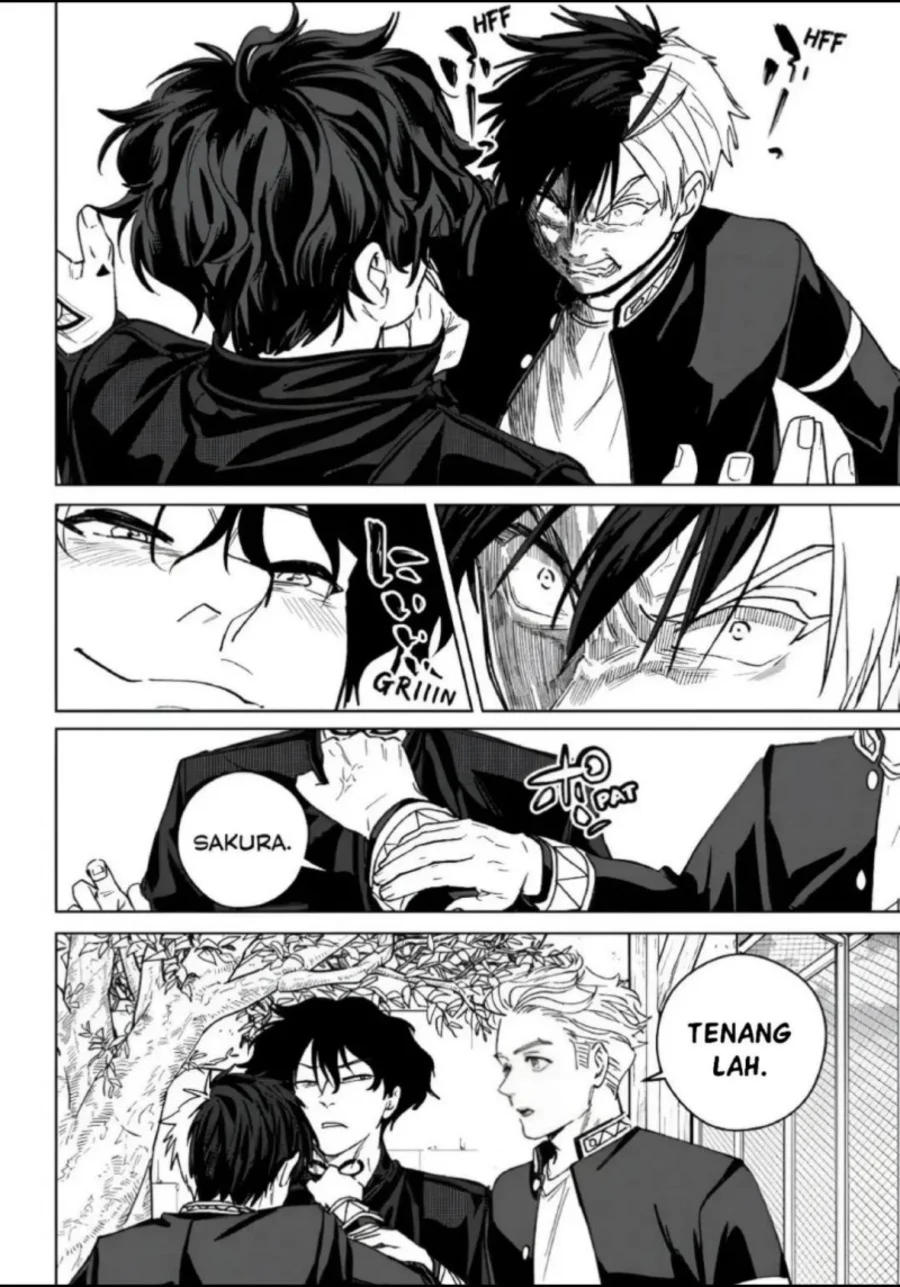 Wind Breaker (NII Satoru) Chapter 216 - halaman 14