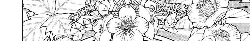 Wind Breaker (NII Satoru) Chapter 89 - halaman 3