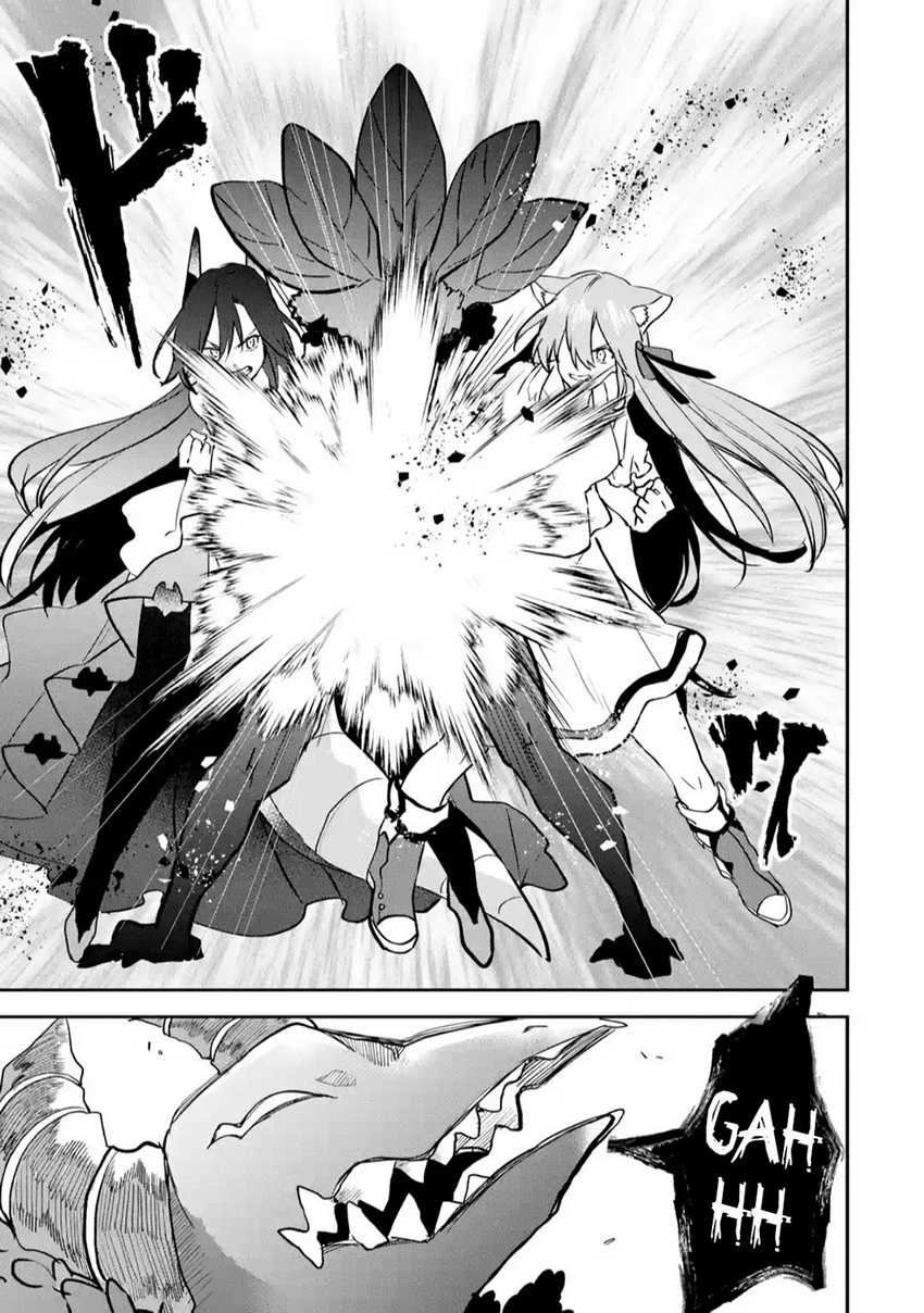 Yuusha Party wo Tsuihou Sareta Beast Tamer, Saikyou Shuzoku Nekomimi Shojo to Chapter 65 - halaman 12