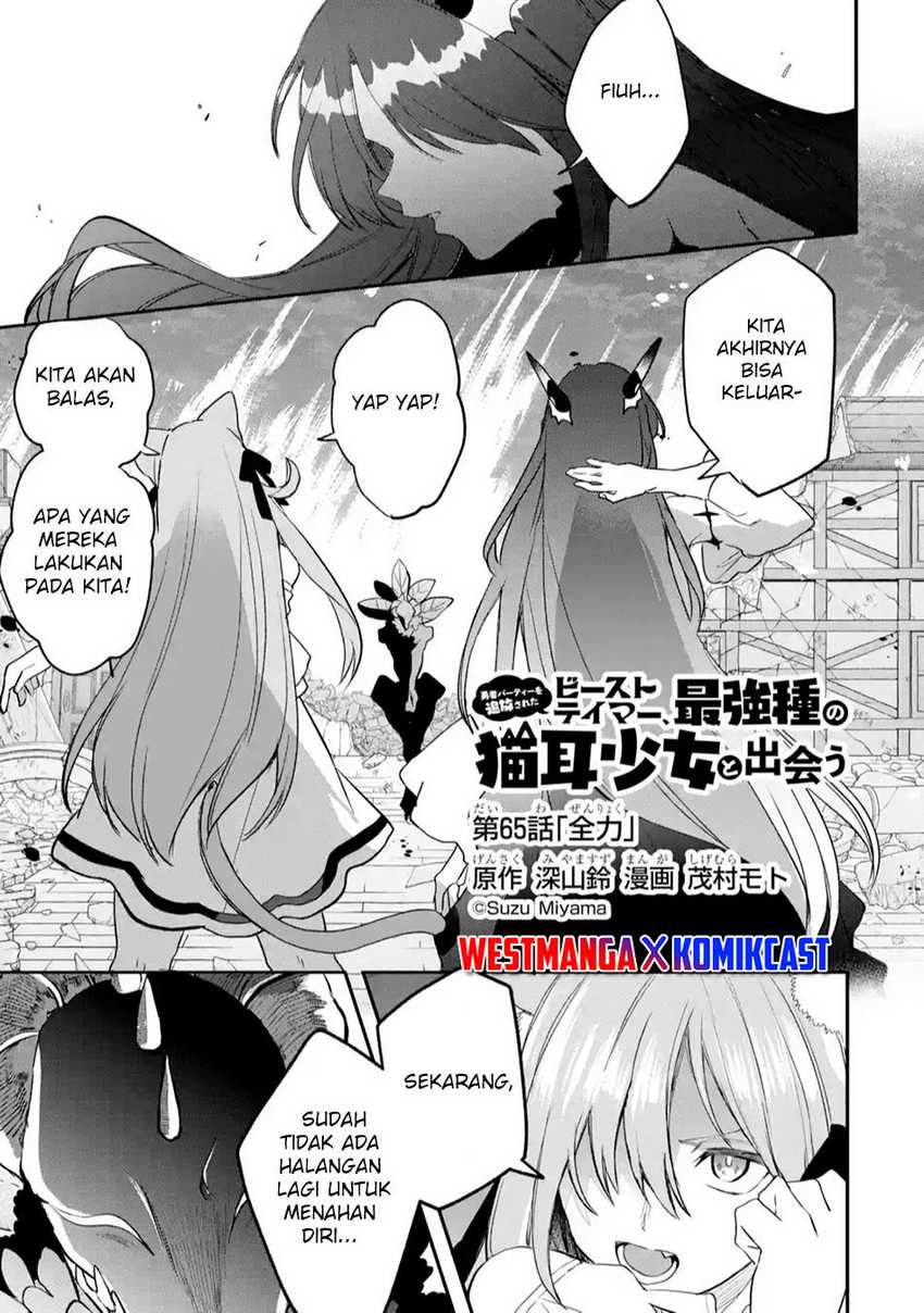 Yuusha Party wo Tsuihou Sareta Beast Tamer, Saikyou Shuzoku Nekomimi Shojo to Chapter 65 - halaman 2