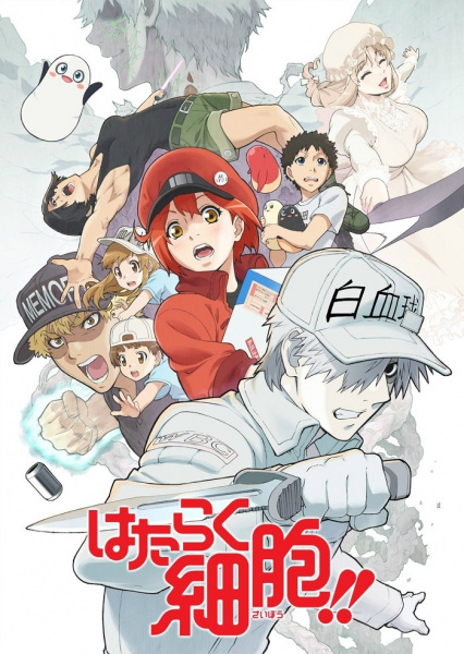 Hataraku Saibou
